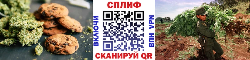маркетплейс наркотические препараты  Сясьстрой  Cannafood марихуана 