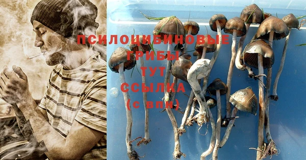 мескалин Абаза