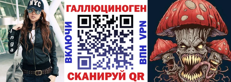 Псилоцибиновые грибы Psilocybine cubensis  Сясьстрой 